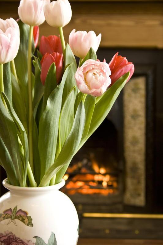 Grantown-on-Spey Dunallan Guest House المظهر الخارجي الصورة